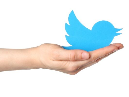Boosting Your Twitter Following Organically